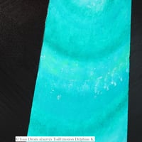 Dsc03308