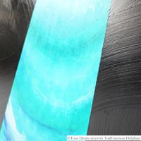 Dsc03313