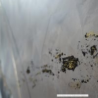 Dsc03376 2 