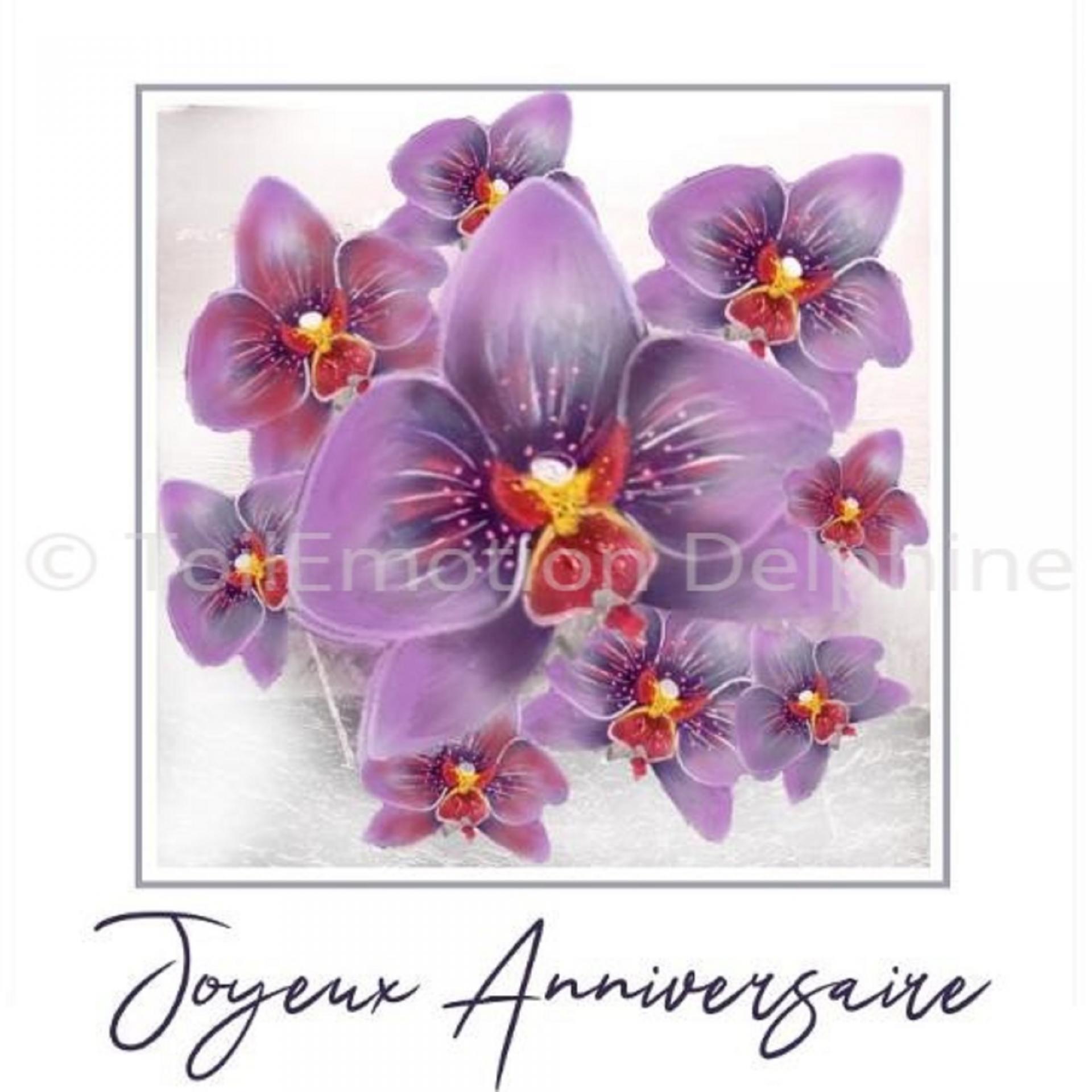 Anniversaire bouquet orchidées